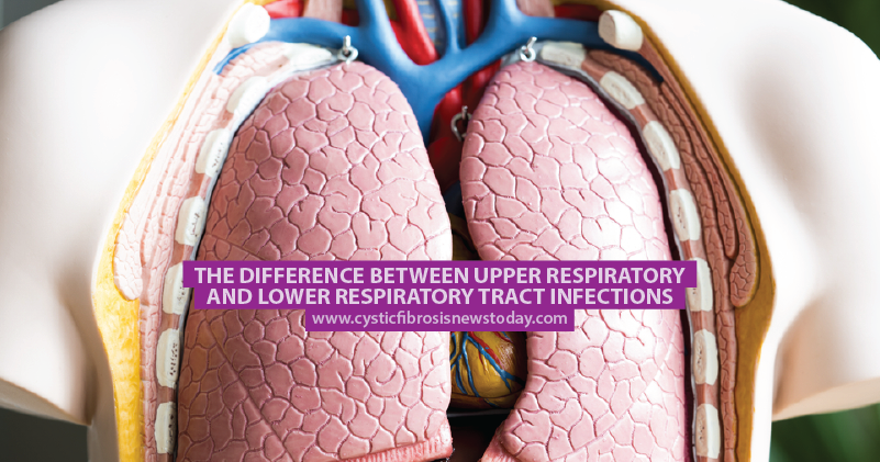 The Difference Between Upper Respiratory and Lower ...